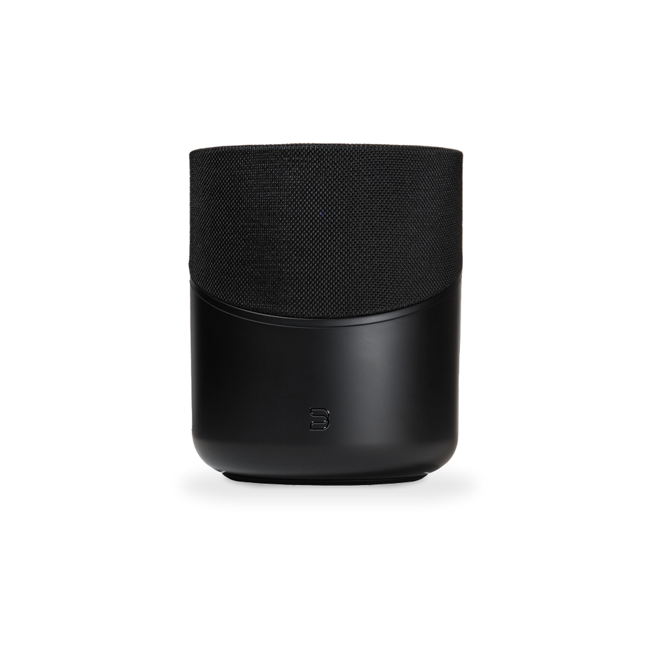 BlueSound Pulse M - Black