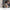 Ring Battery Doorbell, Head-to-Toe Video, Live View with Two-Way Talk, and Motion Detection & Alerts (2024 release)