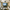 Essentials 5.1 Bundle (JVC RS1200)