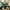 AVE -JVC  RS1200 Essentials 5.1 Bundle