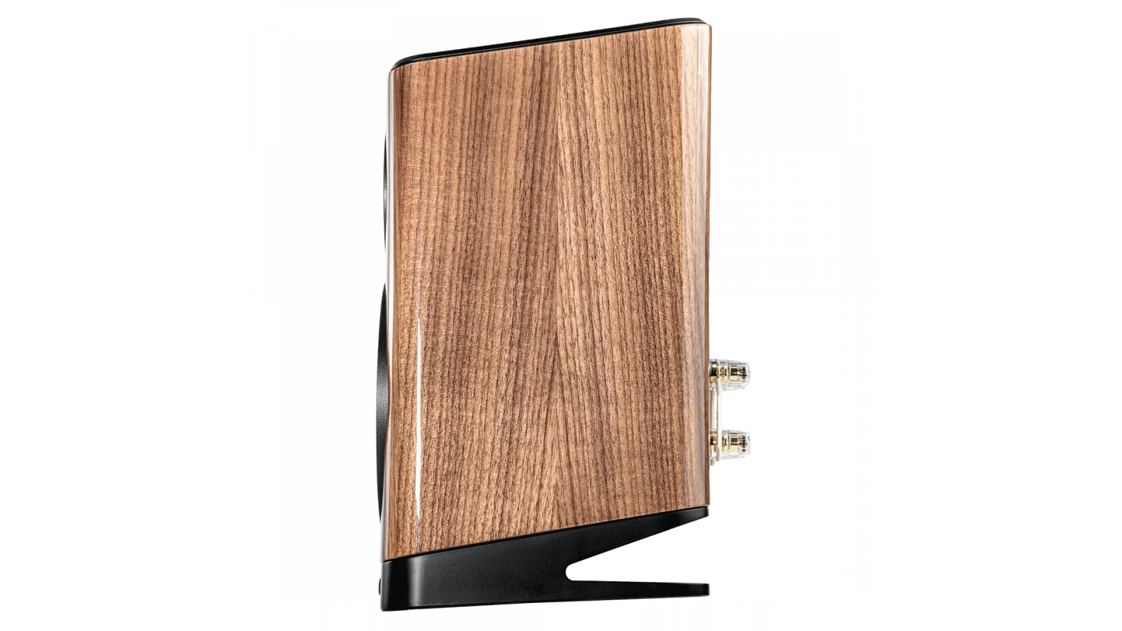 Elac Vela 6