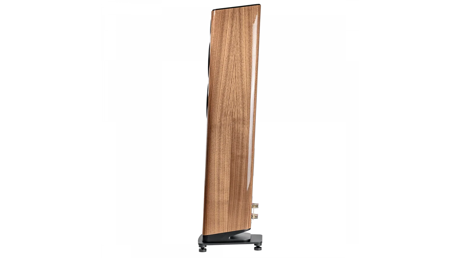 Elac Vela 2.0 6