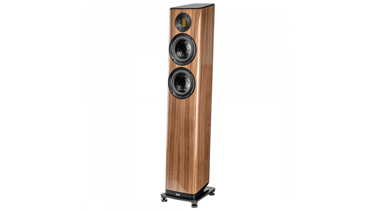Elac Vela 2.0 6
